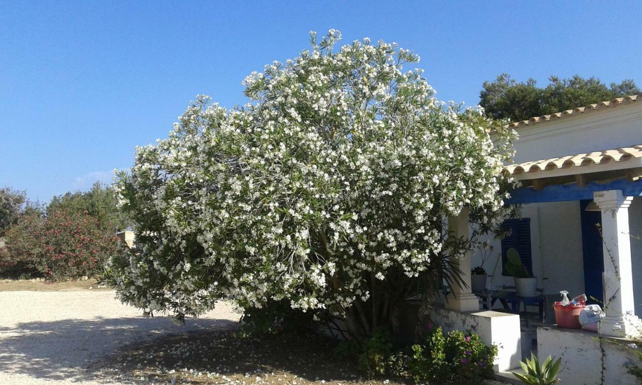 Can Gallet 1 San Francisco Javier Екстер'єр фото
